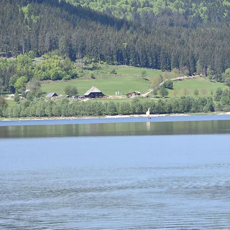 Haus Waldvogel * Schluchsee