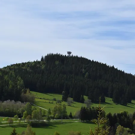 Haus Waldvogel * Schluchsee