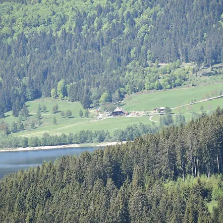 Haus Waldvogel *