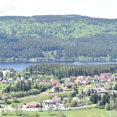 Haus Waldvogel شقة