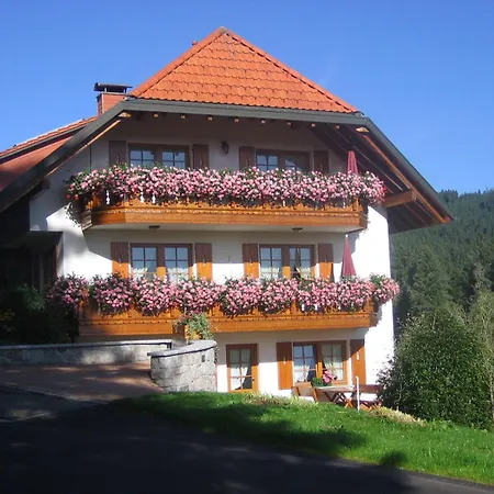 Haus Waldvogel Apartment *