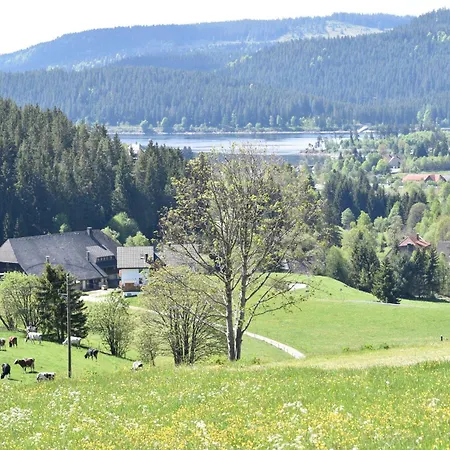 Haus Waldvogel Apartment Schluchsee