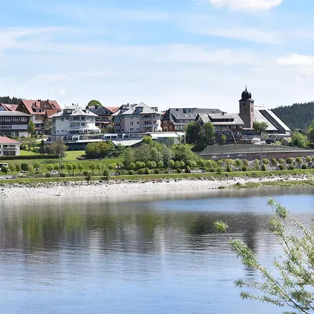 Haus Waldvogel Schluchsee