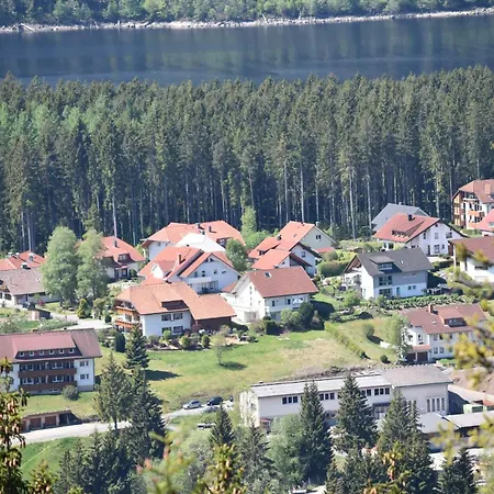 Haus Waldvogel Apartment *