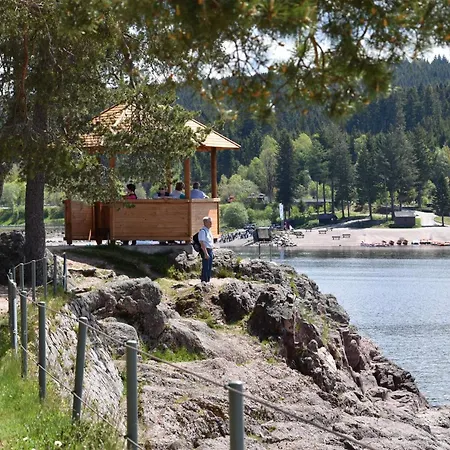 Haus Waldvogel Apartment Schluchsee