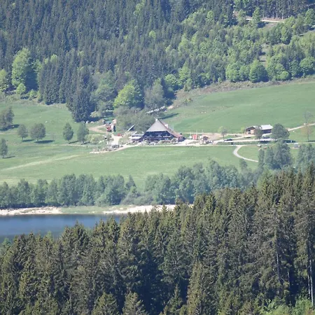 Haus Waldvogel Schluchsee