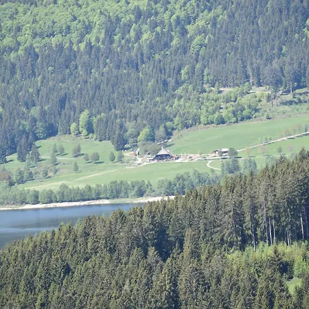 Haus Waldvogel شقة