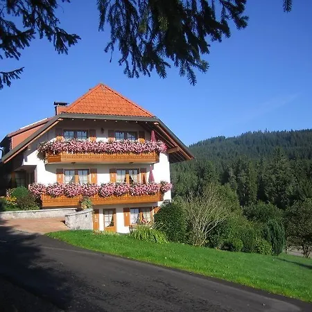 شقة Haus Waldvogel